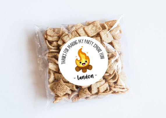 Camping S'more Fun Stickers, S'more Fun, Camping Theme, First Birthday, Tent Stickers, Camping Labels, Favors, Birthday Stickers, Outdoors Il_570xn