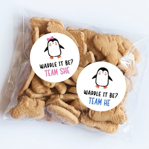 Pingüino él o ella pegatinas, Waddle it Be, tema de pingüino, ducha de pingüino, ducha de bebé, revelación de género, etiquetas de pingüino, favores, bebé