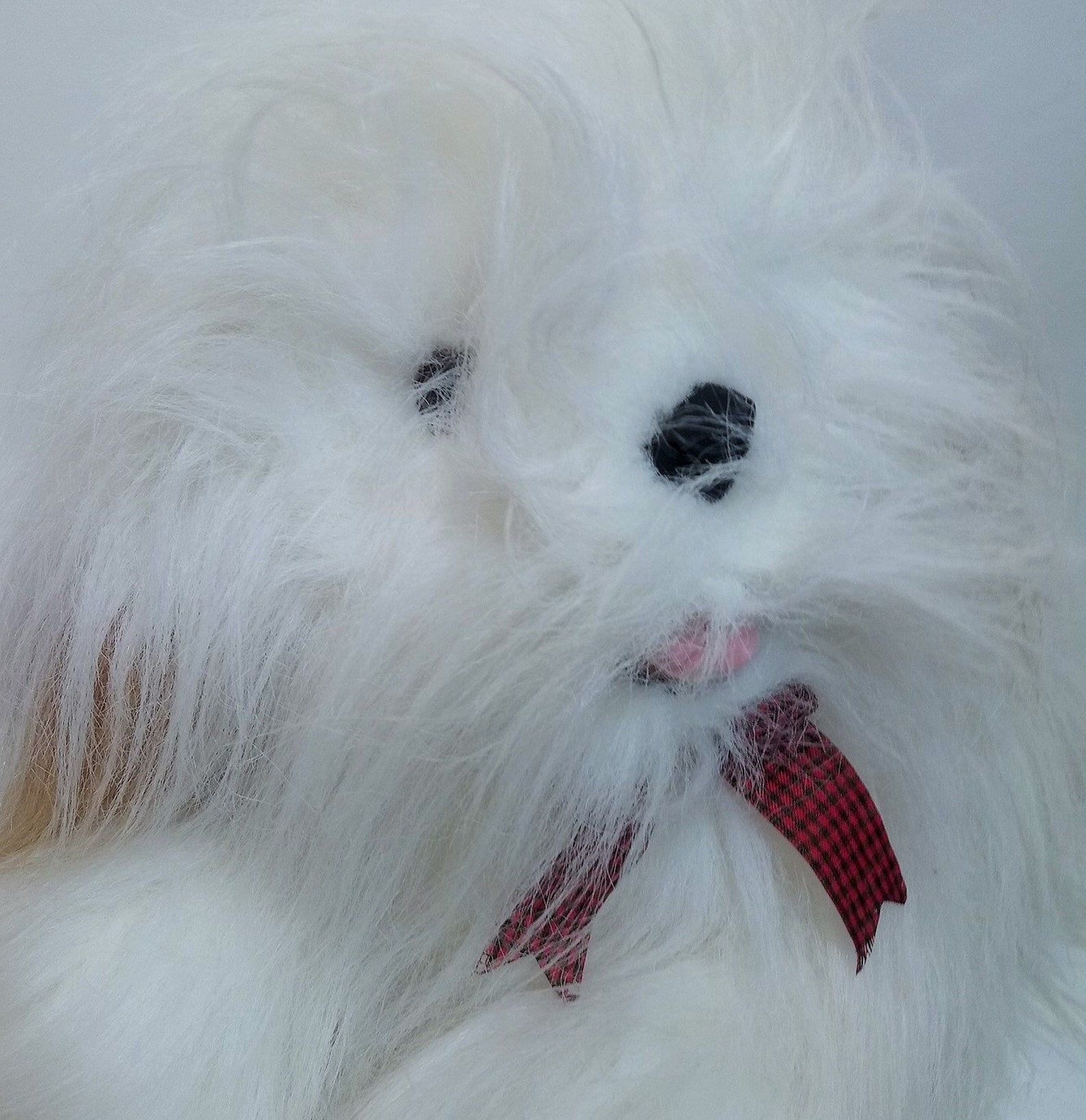 RARE Old English Sheepdog Plush Dog Realistic Stuffed Animal | Etsy