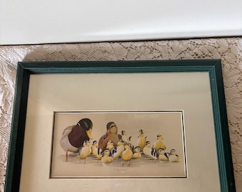 Vintage Mallard Duck Family Print Art LaMay The Kids
