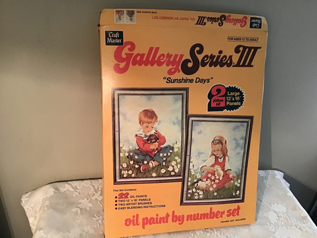Craft Master Paint By Number Gallery Series III Sunshine Days Set of 2 Etsy België