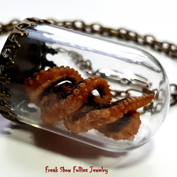 real mummified octopus tentacles glass vial tentacle necklace