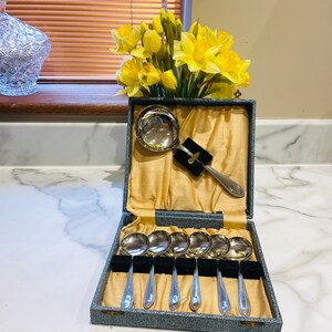 May include: A set of silver spoons in a blue velvet lined box with a matching silver ladle. The box is open and the spoons are arranged in rows. A bouquet of yellow daffodils is in the background.