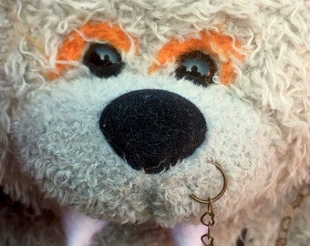 pumpkin containing a Vampire teddy bear
