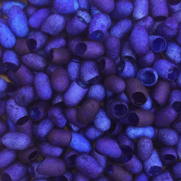 Hand Dyed Silk Cocoons, Silk Cut Cocoons, Mulberry Silk Fibres, Selection Pack of 10 Cut Silk Cocoons, Colour Blue, Dark Blue