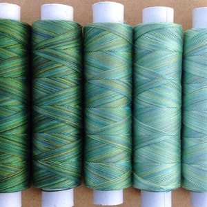 May include: Six spools of green, blue, and yellow embroidery thread. The thread is wound around white plastic spools.