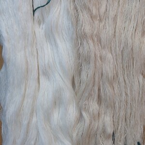May include: Two bundles of white and off-white yarn tied together with green string. The yarn is soft and fluffy, and it appears to be made of natural fibers.