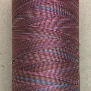 May include: A spool of multi-colored thread with a white plastic bobbin. The thread is a mix of red, pink, brown, and blue.