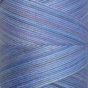 May include: A spool of blue, purple, and green variegated embroidery floss.