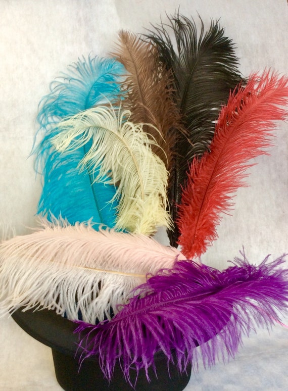 A Feather for Your Cap Egret Feather in Assorted Colors Etsy