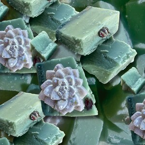 Hagalicious Wachs Melt Chunkies | Herbstduft | Kollektion Herbst | Halloween Geschenk | Herbstduft | Makaber Duft