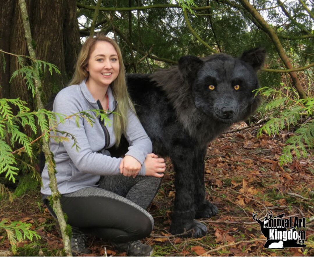 EXAMPLE WORK Life Size Display Realistic Black Wolf Handmade - Etsy EXAMPLE WORK Life Size Display Realistic Black Wolf Handmade - Etsy
