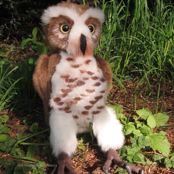 Burrowing Spotted Owl Plush Stuffed Animal Toy Handmade Canada Faux Realistic Taxidermy