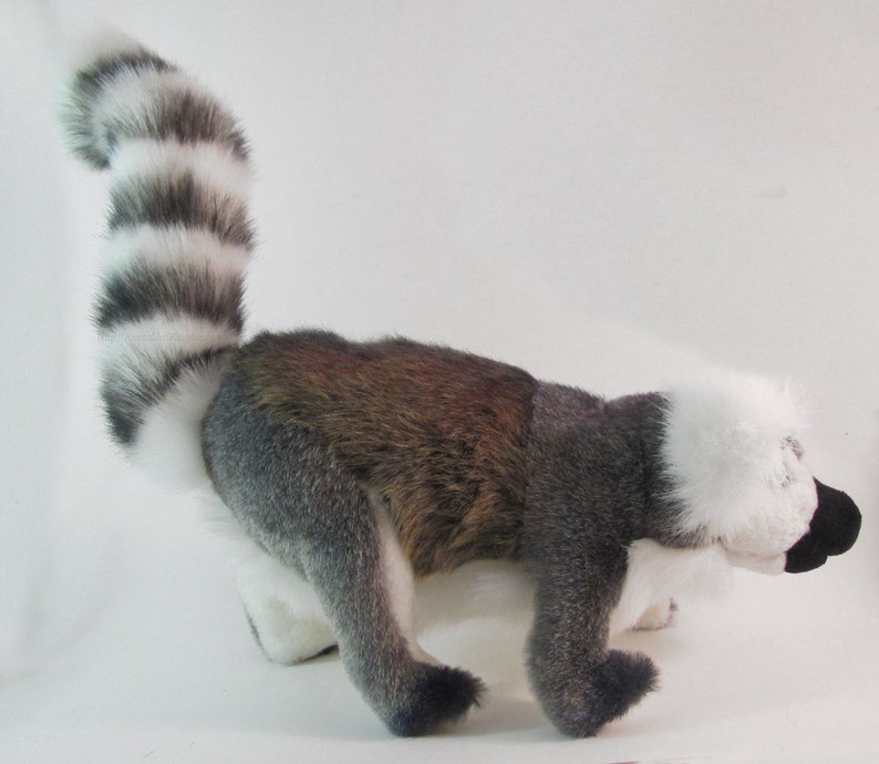 zoboomafoo plush