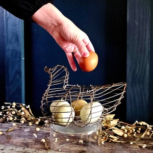  TAIANLE Farmhouse Metal Wire Egg Basket for Collecting Fresh  Eggs,Round Handle Egg Basket Vintage Style,Durable Collect & Gathering  Basket for Fresh Egg,Countertop Egg Basket Holder,Storage Fruit Bin : Home  & Kitchen