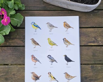 British Garden Birds Watercolor Giclee Print, Home Decor