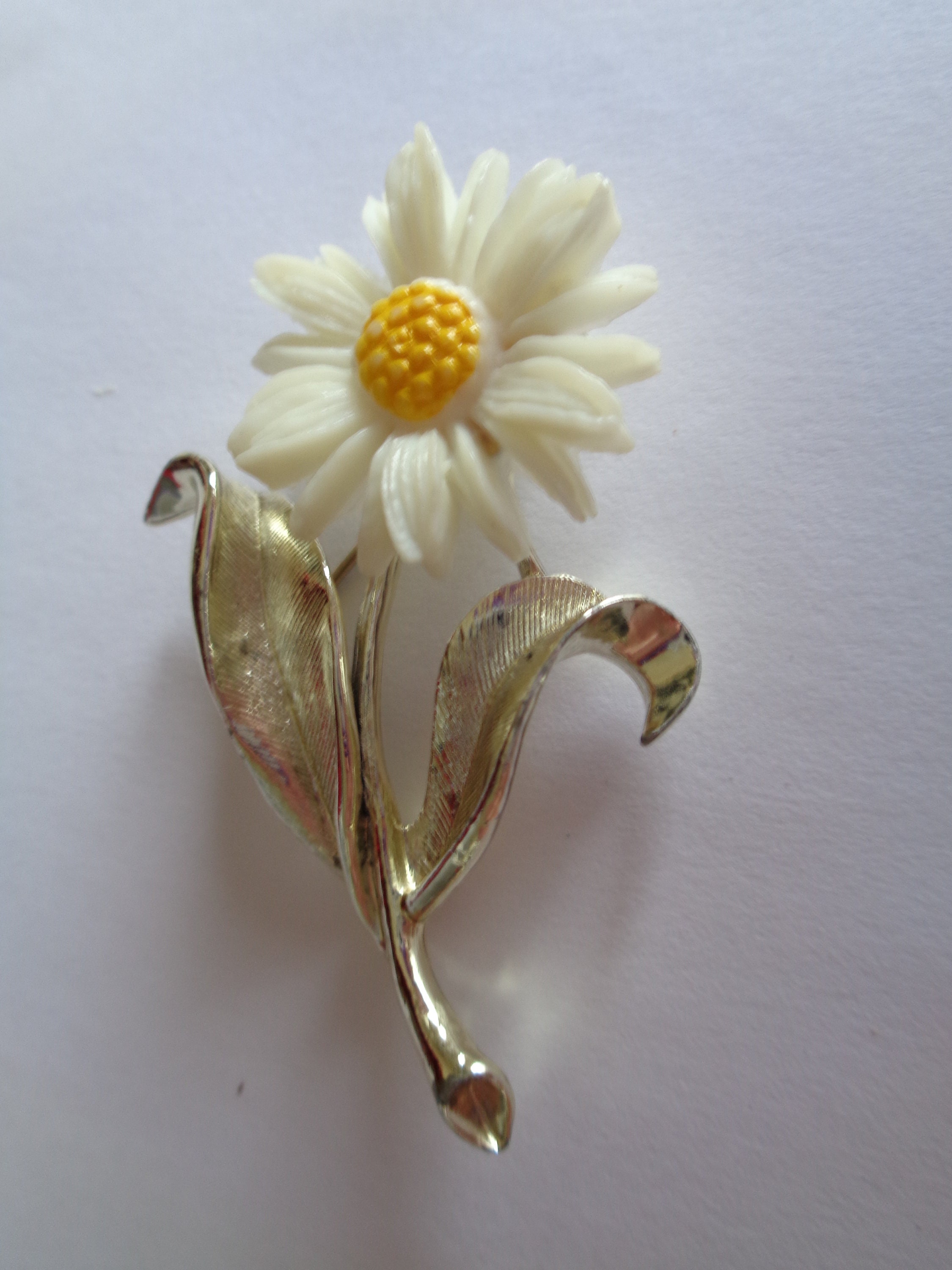 Daisy brooch shop