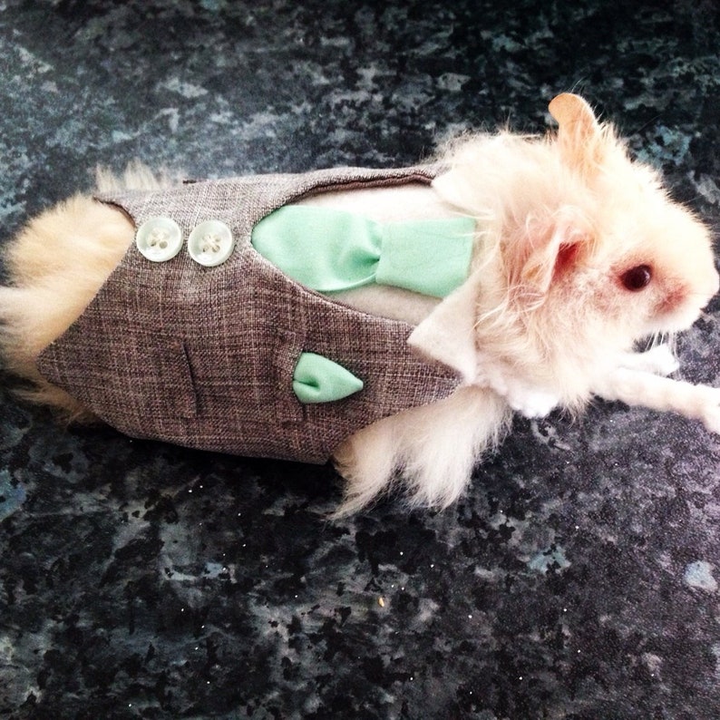 Debonair Big Boy Suit modeled by Toby a hamster...made to order