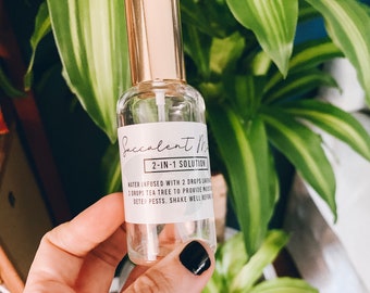 Digital Download Succulents Bottle Label