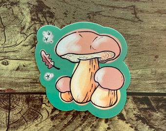 Fall Feels Toadstool Sticker | vinyl waterproof sticker | witchcraft witchy mushroom forage