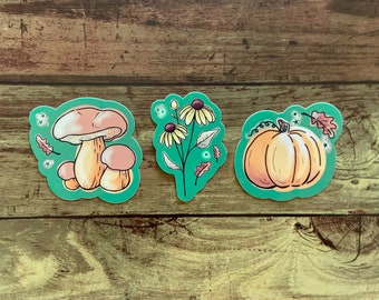 Fall Feels 3 Pack of Stickers | vinyl waterproof sticker | witchcraft witchy mushroom wildflower pumpkin forage