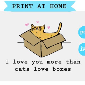 Kat digitale kaart, digitale liefdeskaart