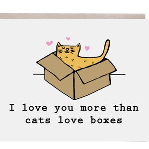Cartão de amor de gato, te amo mais do que, cartão de gato, cartão de amor