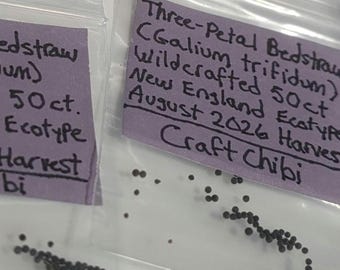 Könnte beinhalten: Zwei durchsichtige Plastikbeutel mit kleinen, dunklen, runden Samen. Jeder Beutel hat ein hellviolettes Etikett mit handgeschriebenem schwarzem Text. Das rechte Etikett lautet: Three-Petal Bedstraw (Galium trifidum) Wildcrafted 50ct New England Ecotype August 2026 Harvest Craft Chibi.