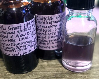 Könnte beinhalten: Drei Glasflaschen mit flüssigem Pflanzenextrakt. Die Etiketten sind hellviolett und mit schwarzer Handschrift beschriftet: Chibi Ghost pipe tincture, liquid botanical extract, wildcrafted in New England, pesticide-free, small batch.