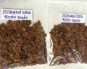 Könnte beinhalten: Zwei durchsichtige Plastikbeutel gefüllt mit braunen Seidenpflanzensamen. Jeder Beutel hat ein weißes rechteckiges Etikett mit dem handschriftlichen Text Milkweed 2026 500x seeds in blauer Tinte. Die Samen sind flach, oval und dunkelbraun.