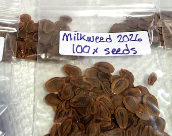 Könnte beinhalten: Mehrere durchsichtige Plastikbeutel gefüllt mit braunen, flachen, ovalen Seidenpflanzensamen. Jeder Beutel hat ein weißes Etikett mit dem handschriftlichen Text Milkweed 2026 100x seeds in blauer Tinte, der den Inhalt angibt.