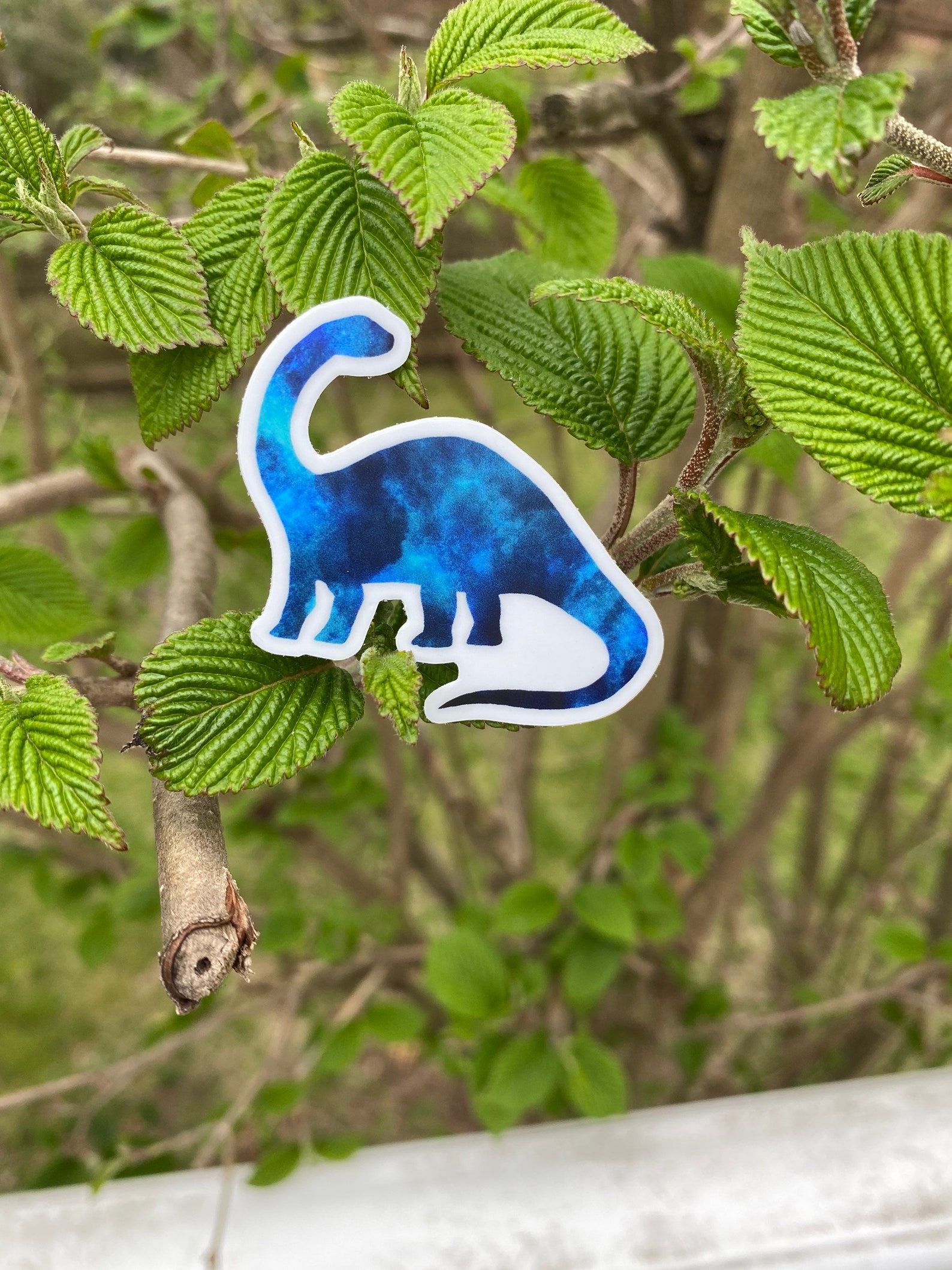 Dinosaur Sticker - Brontosaurus/apatosaurus - Vinyl Weatherproof ...