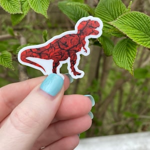 Dinosaur Sticker - Tyrannosaurus/TRex - Vinyl Weatherproof Sticker - 2 or 3 inches