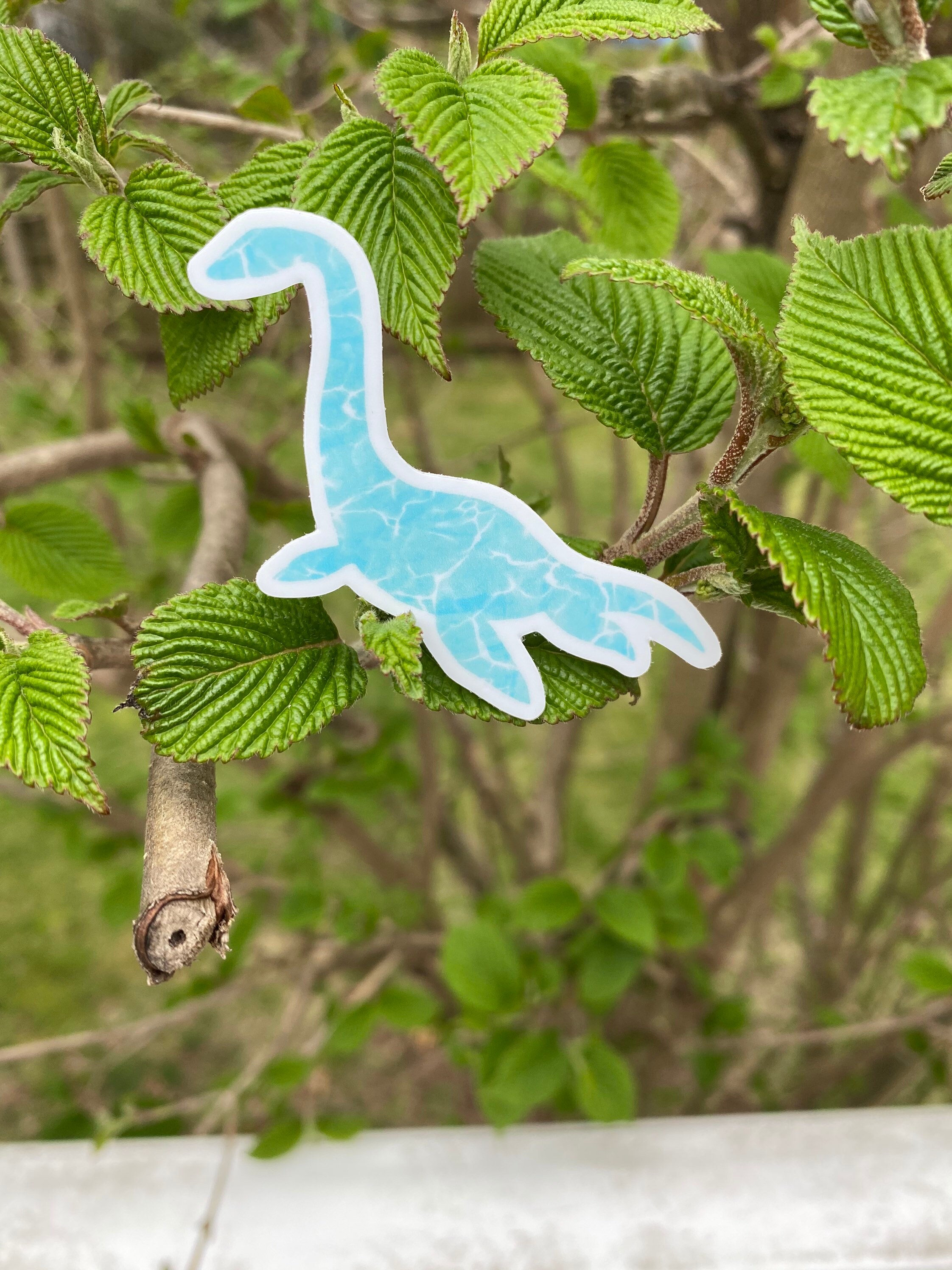 Dinosaur Sticker - Plesiosaurus - Vinyl Weatherproof Sticker - 2 and 3 ...