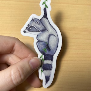 Pocahontas’ Meeko - Vinyl Sticker - 4 inch