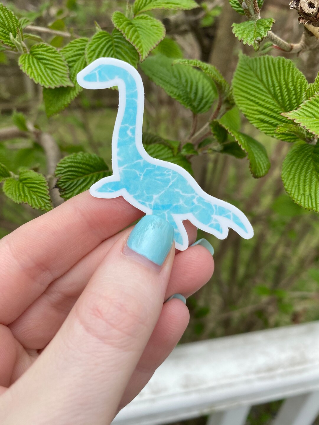 Dinosaur Sticker - Plesiosaurus - Vinyl Weatherproof Sticker - 2 and 3 ...