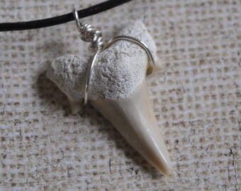 Fossil Shark Tooth pendant on leather necklace  boho, simple, minimalist