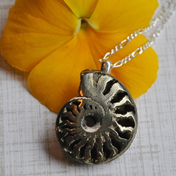 Pyritized Fossil Ammonite necklace on sterling silver chain, simple necklace, minimalist