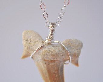 Fossil Shark Tooth pendant on sterling silver chain  boho, simple, minimalist