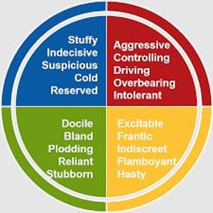 Hartman Personlighetstest Frågeformulär - Digital Omedelbar Nedladdning - Självpoängbar