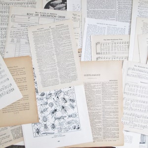 May include: A collection of vintage paper ephemera, including sheet music, newspaper clippings, and illustrations of insects. The papers are in various shades of cream and white, with some showing signs of age and wear.