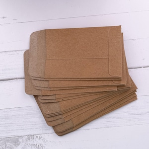 20 Small Grocery Kraft Paper Seed Envelopes