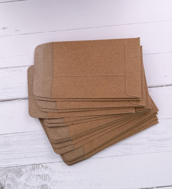 20 Small Grocery Kraft Paper Seed Envelopes