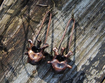 Vertebrae Earrings