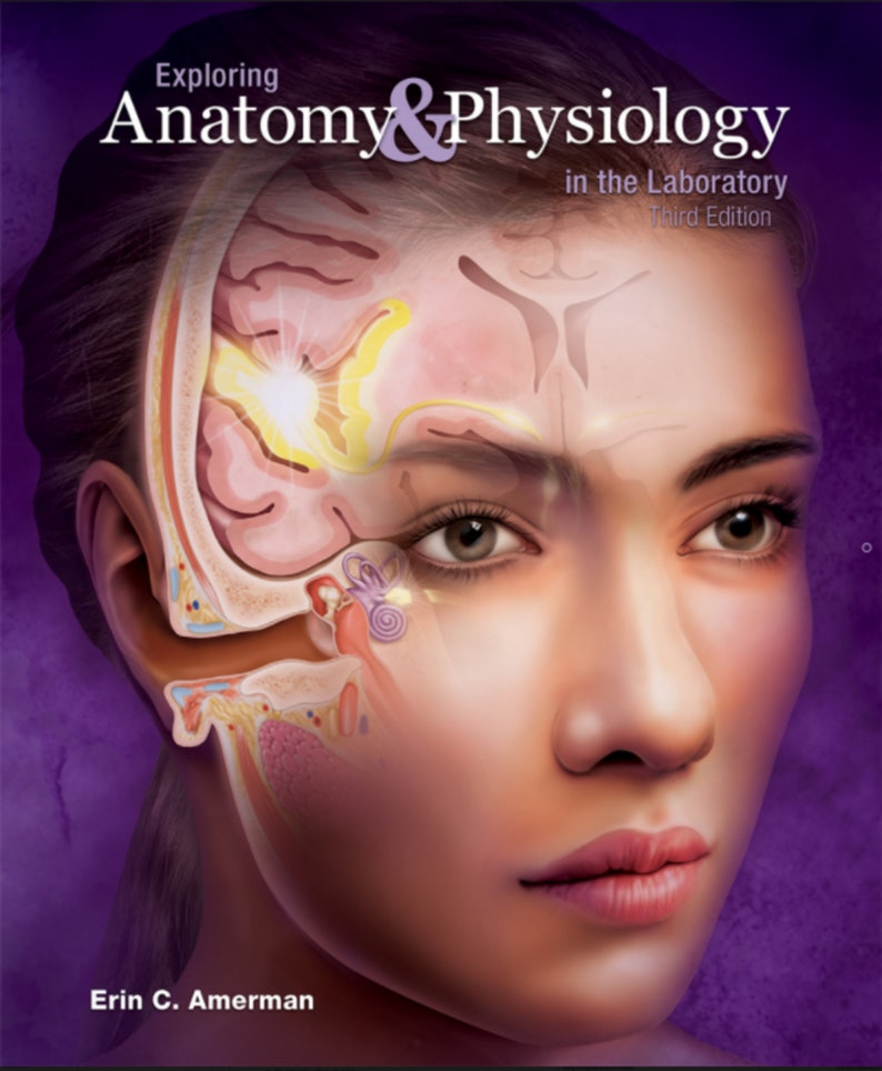 Exploring Anatomy & Physiology in the Laboratory 3rd Edition Etsy