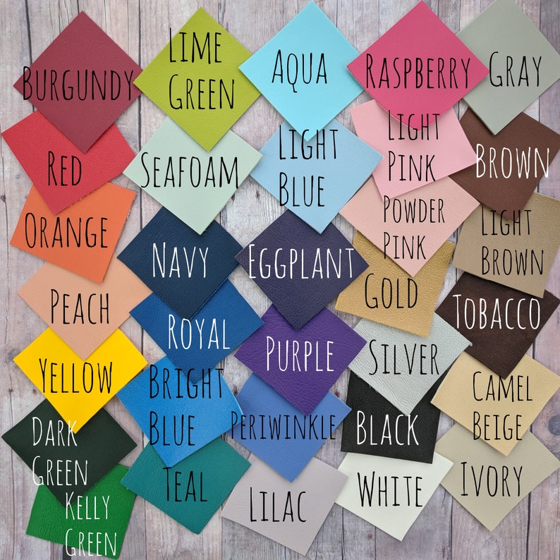Holds 2 Condoms Birth Control Case Vinyl in Your Choice of 31 Colors with Snap Closure Condom Case Carry Discreetly Made in USA