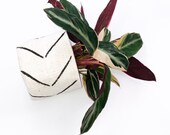 White and Black Chevron Print Authentic Vintage Bologan Mud cloth Plant Basket and Hanging Basket