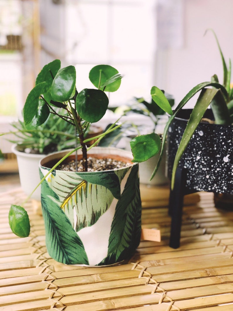 Tropical Cloth Canvas Plant Basket or Hanging Basket Etsy