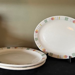 Vintage Armorlite JE Heath Heavy Ceramic Oval Diner Plate Erica Pattern - Retro Diner Vitrified Stoneware