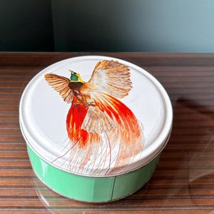 ヴィンテージビスケット缶 - バード・オブ・パラダイス、マクハッチオンズ フルーツケーキ缶、シーフォームグリーン